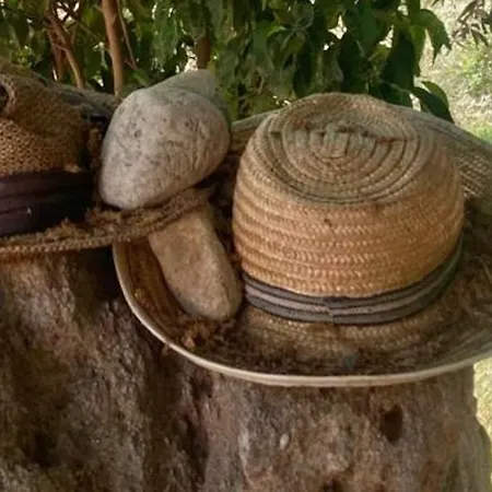 דירה Finca Limoneros אלורה